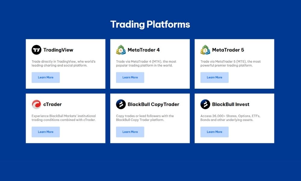 Sàn BlackBull Markets mang đến nền tảng giao dịch như thế nào?