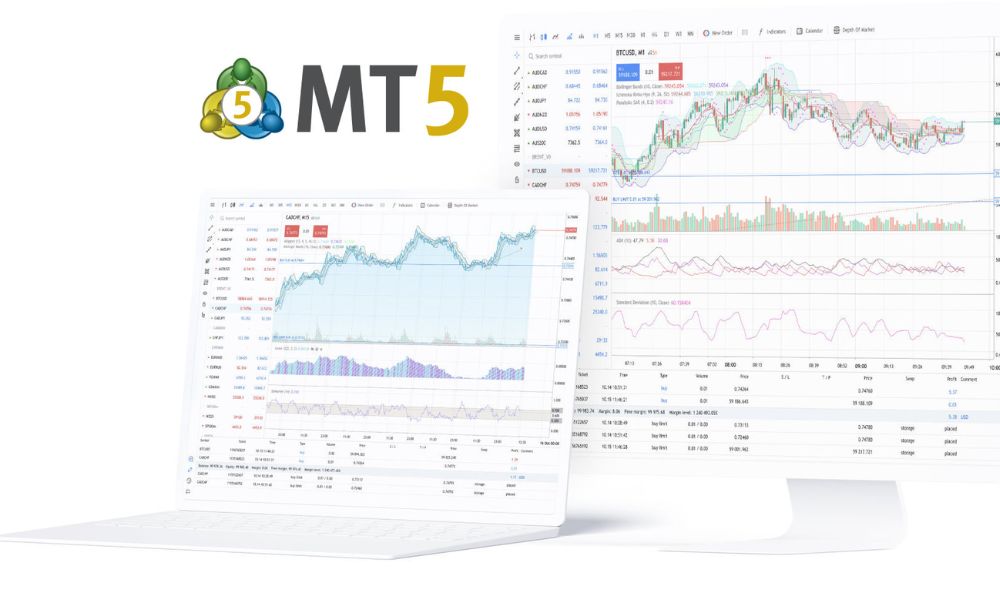 GTMX cung cấp nền tảng MetaTrader 5
