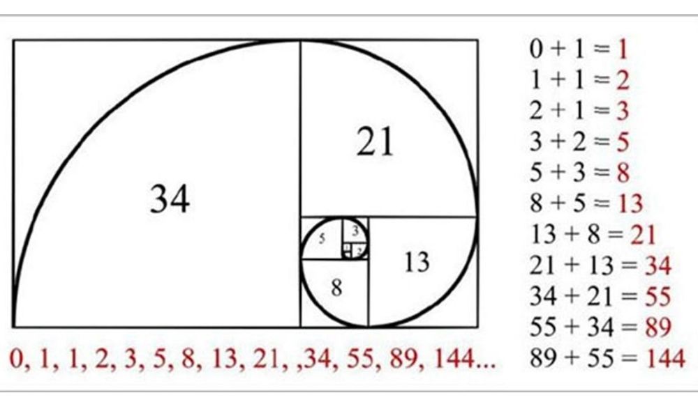 Fibonacci được giới thiệu bởi nhà toán học người Ý Leonardo Pisano Bigollo