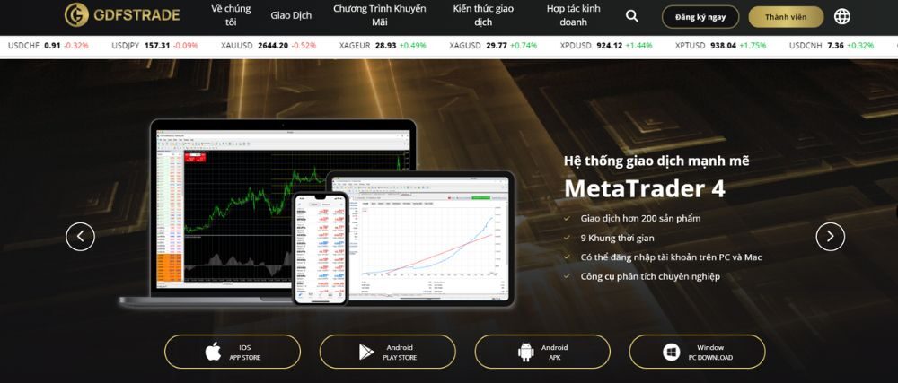 GDFS TRADE cung cấp nền tảng MetaTrader 4