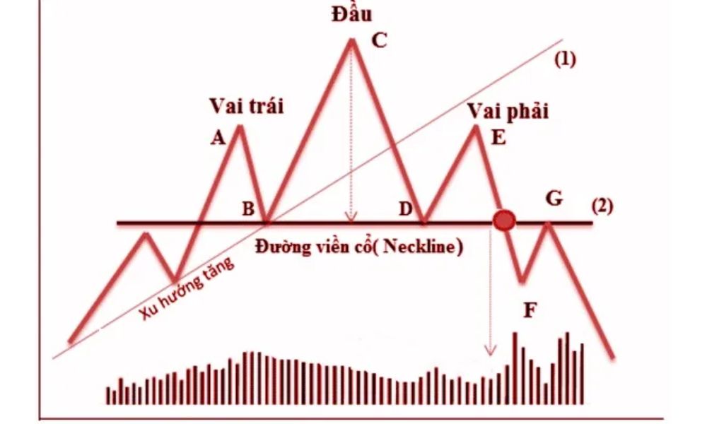 Mô hình Vai Đầu Vai đóng vai trò quan trọng