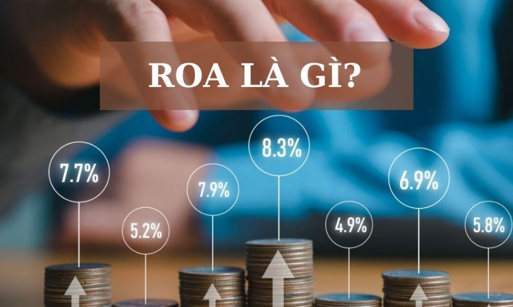 Giới thiệu tổng quan về chỉ số ROA