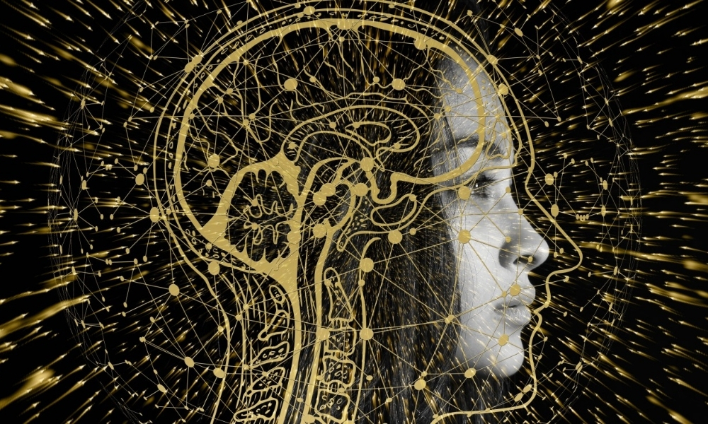 Để ứng dụng hiệu quả lý thuyết 3 não vào giao dịch Forex, bạn cần hiểu rõ cách thức hoạt động