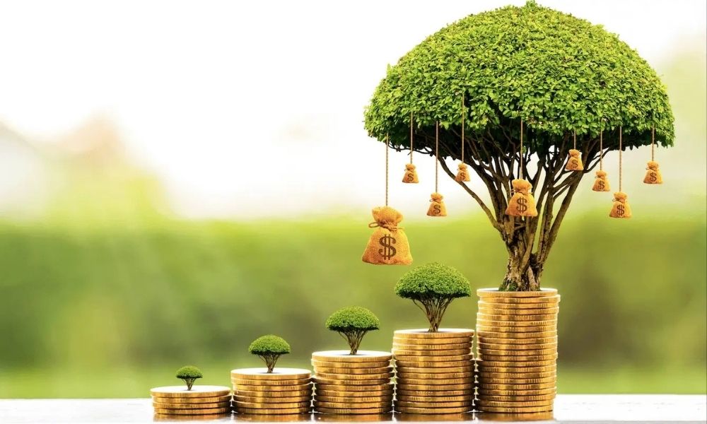 Điều gì xảy ra khi Initial Farm Offering không huy động đủ vốn