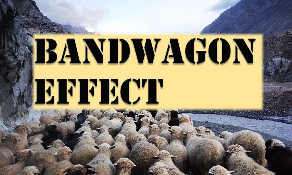 Hiệu ứng Bandwagon trong các lĩnh vực khác nhau