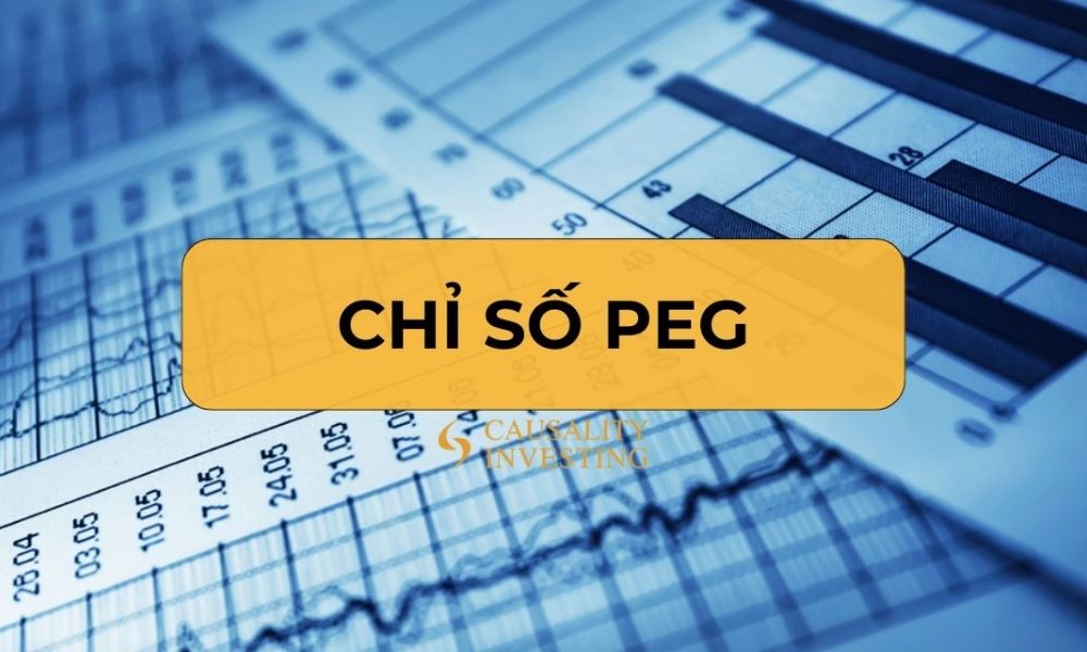 Một số lưu ý khi sử dụng chỉ số PEG