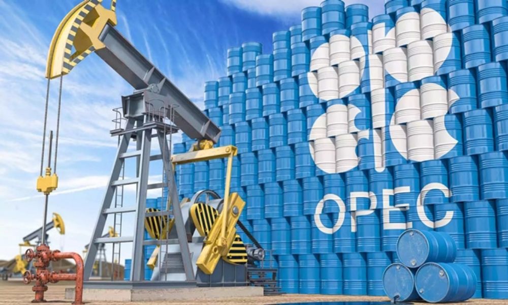 OPEC có nhiều đặc điểm nổi bật