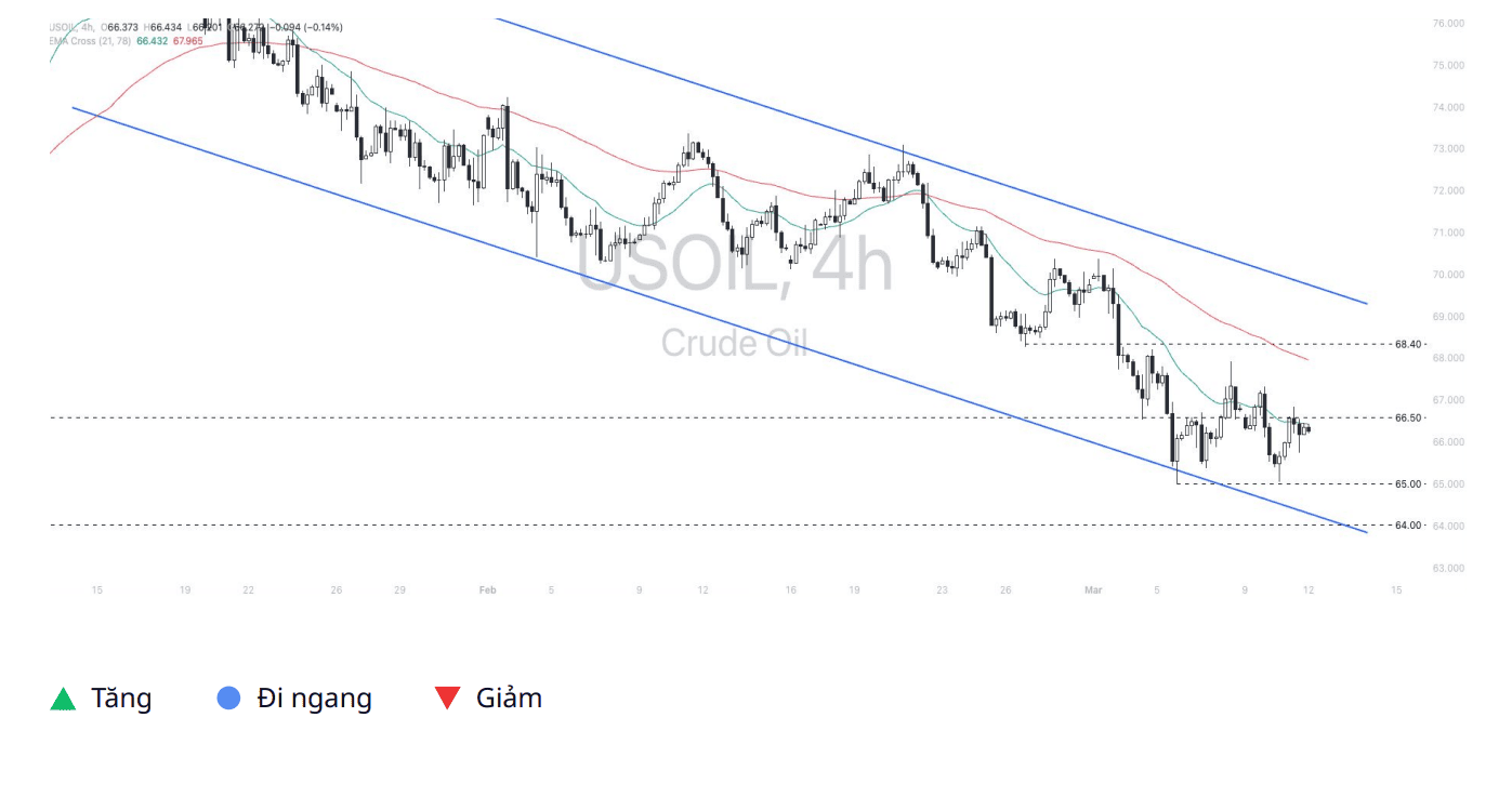 Quan điểm kỹ thuật USOIL trên thị trường – Ngày 12/03/2025