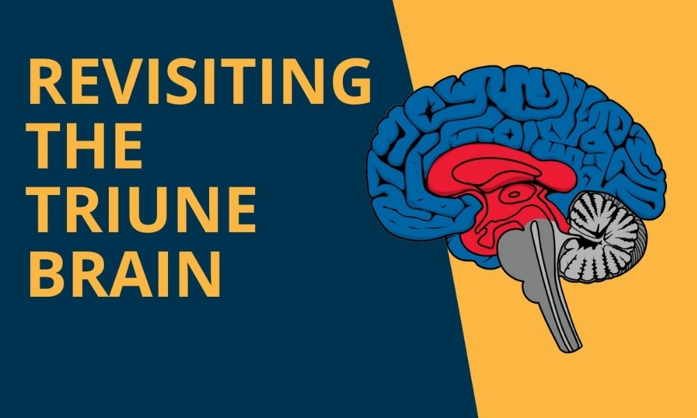 Sử dụng não người để ra quyết định lý trí