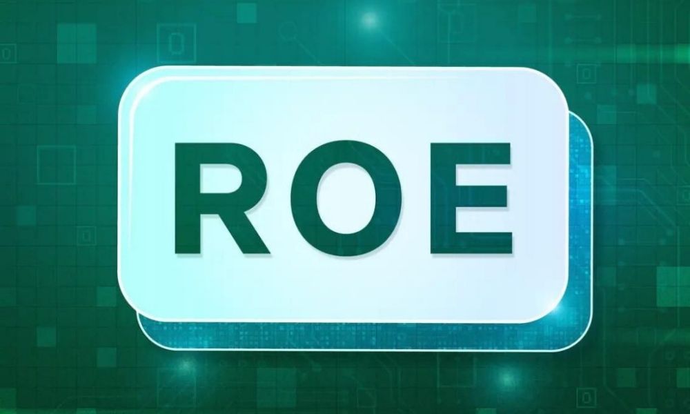Công thức tính chỉ số ROE chính xác