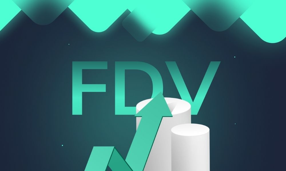 Tìm hiểu về FDV trong tài chính
