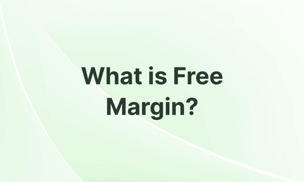 Giới thiệu sơ lược về Free Margin