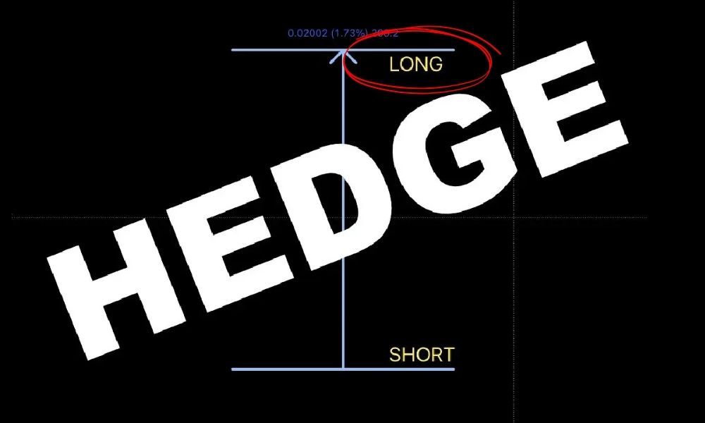 Long Hedge là gì? Chiến lược phòng ngừa rủi ro tăng giá trong Forex 2 Long Hedge là một chiến lược phòng ngừa rủi ro bảo vệ nhà đầu tư khỏi sự tăng giá của một tài sản có kế hoạch mua trong tương lai