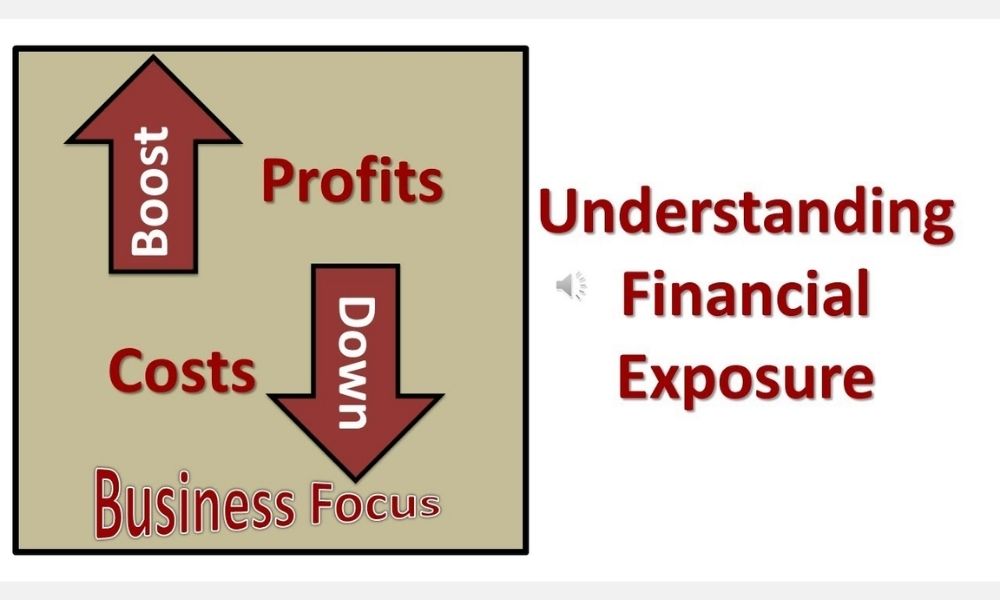 Phơi nhiễm rủi ro tài chính là mức độ rủi ro thua lỗ về tài chính do các biến động thị trường hoặc sự kiện bất ngờ