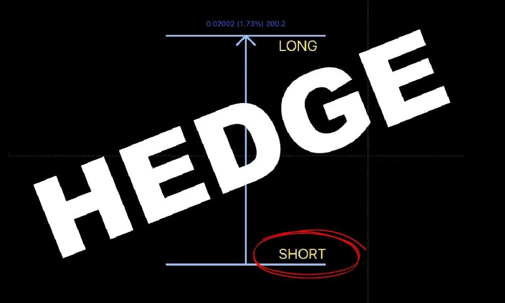 Short Hedge là gì? Phân biệt Short Hedge và Long Hedge 2 Short Hedge là một chiến lược phòng ngừa rủi ro bảo vệ nhà đầu tư khỏi sự giảm giá của một tài sản có kế hoạch bán trong tương lai