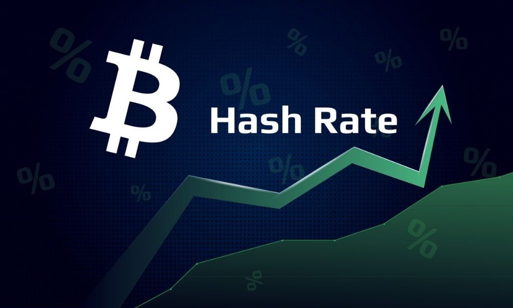 Tầm quan trọng của Has Rate