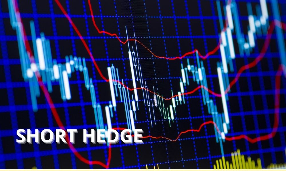 Short Hedge là gì? Phân biệt Short Hedge và Long Hedge 4 Ứng dụng của Short Hedge trong Forex