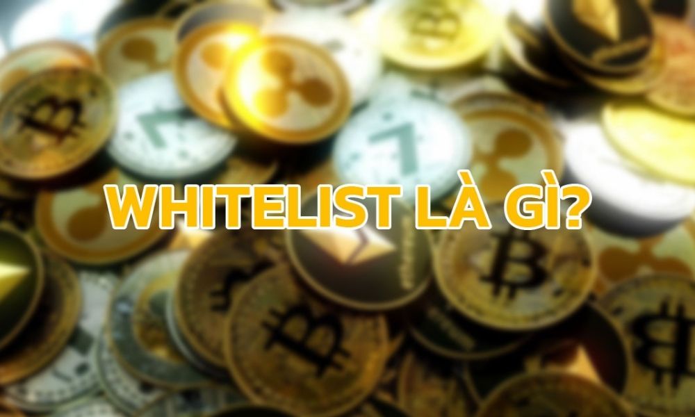 Whitelist trong tài chính và Forex là gì?