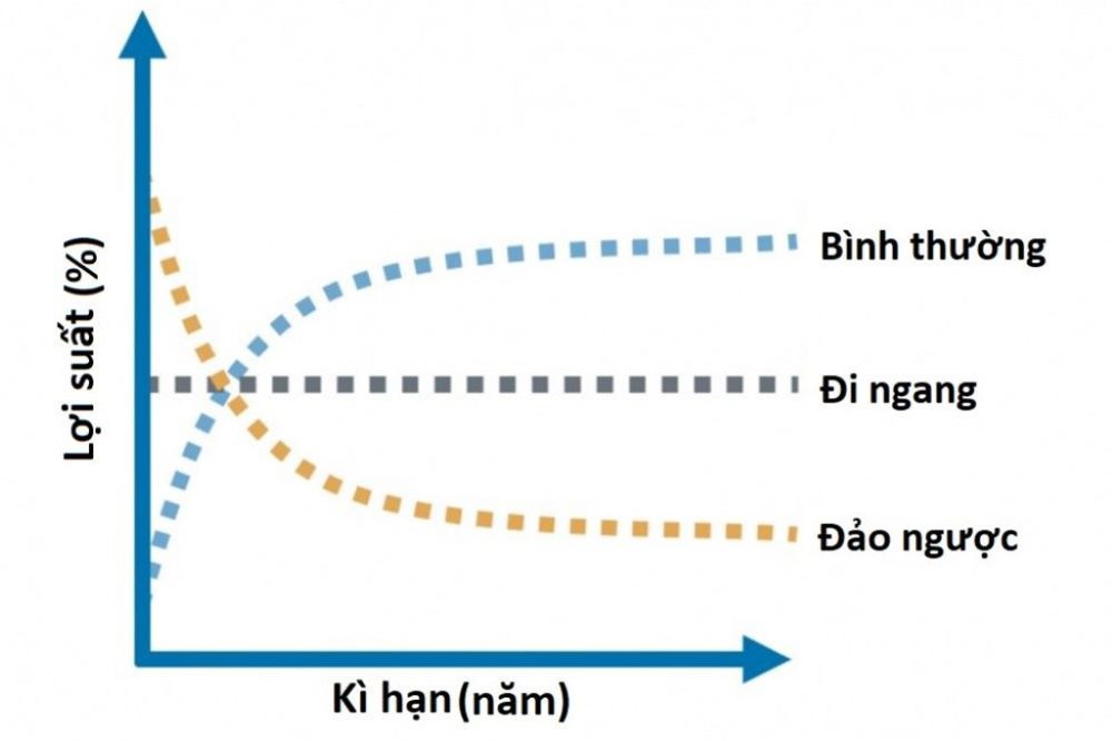 Đường cong lợi suất: Không chỉ là một đường cong