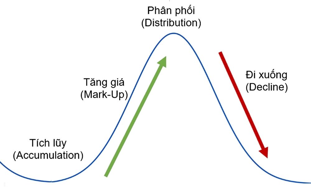 Giai đoạn tích lũy: Khu rừng tĩnh lặng
