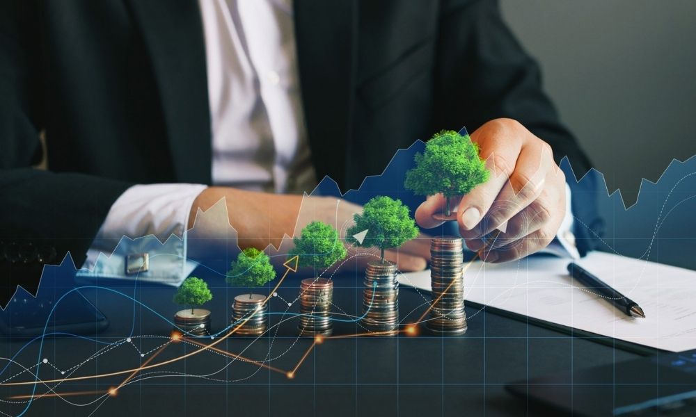 Học hỏi từ những nhà đầu tư thành công