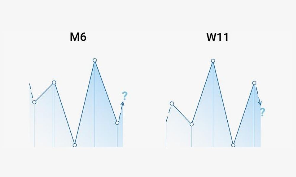 M6 và W11: Biến thể vai đầu vai
