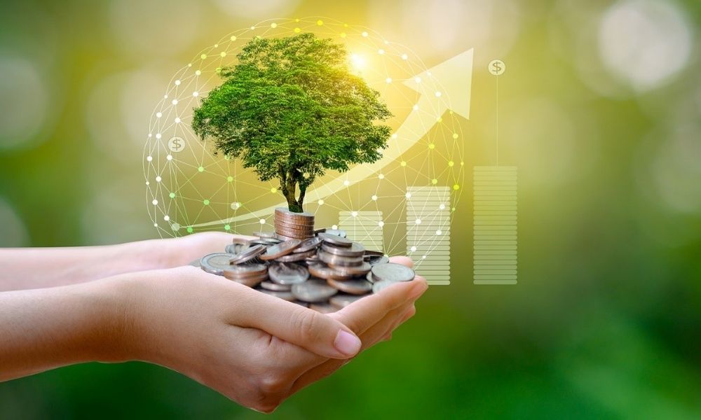 Khái niệm và vai trò của kinh tế môi trường