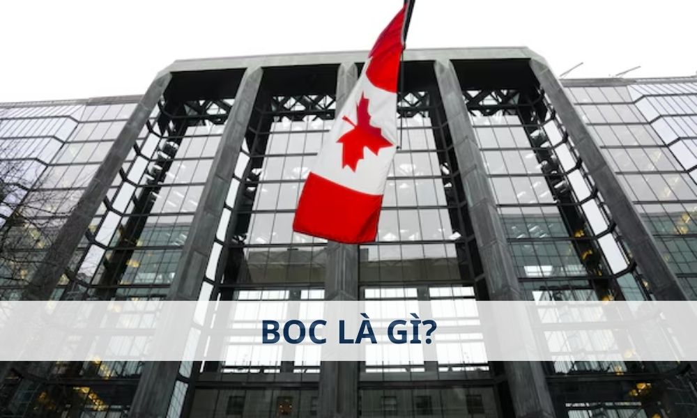 BoC là gì? Ảnh hưởng của BoC đến thị trường Forex như thế nào?