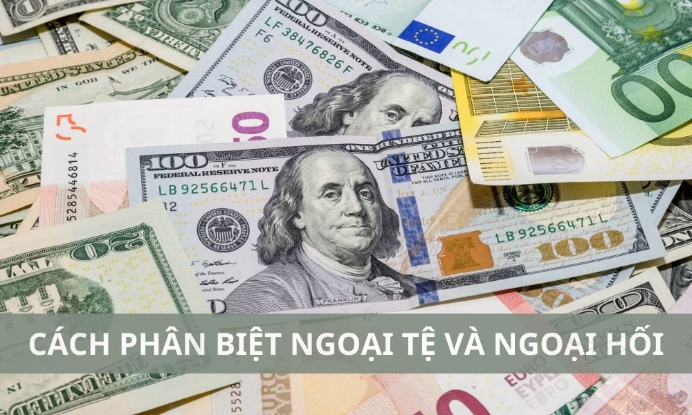 Cách phân biệt ngoại tệ và ngoại hối đơn giản 1 Cách phân biệt ngoại tệ và ngoại hối đơn giản|Ngoại hối đóng vai trò quan trọng trong nền kinh tế toàn cầu|Ngoại hối là các phương tiện thanh toán và tài sản tài chính được sử dụng trong các giao dịch quốc tế|Ngoại tệ đóng vai trò thiết yếu trong nền kinh tế toàn cầu|Ngoại tệ là đồng tiền của một quốc gia khác với quốc gia đang được nhắc đến
