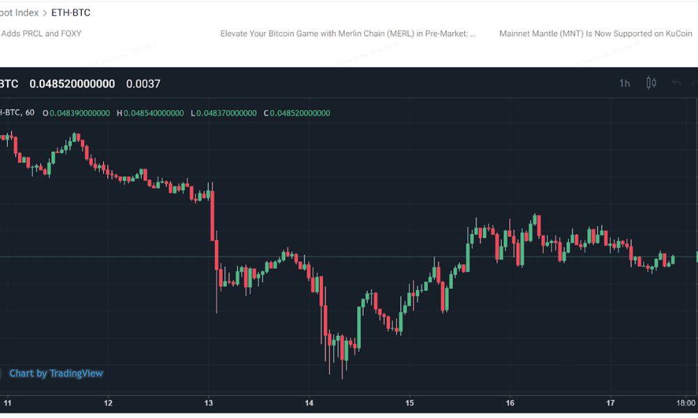 Công thức tính Used Margin|Lưu ý khi quản lý Used Margin và Stop Loss|Tổng quan về Used Margin