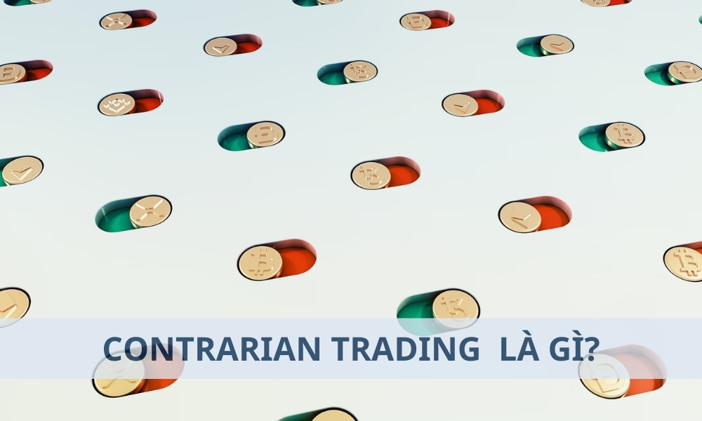 Contrarian Trading là gì? Cách sử dụng Contrarian Trading hiệu quả trong Forex