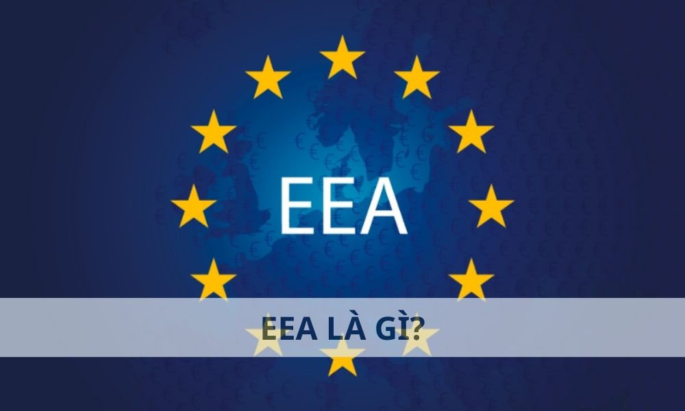 EEA là gì? Ảnh hưởng của EEA đến thị trường Forex như thế nào? 6 EEA là gì? Ảnh hưởng của EEA đến thị trường Forex như thế nào?
