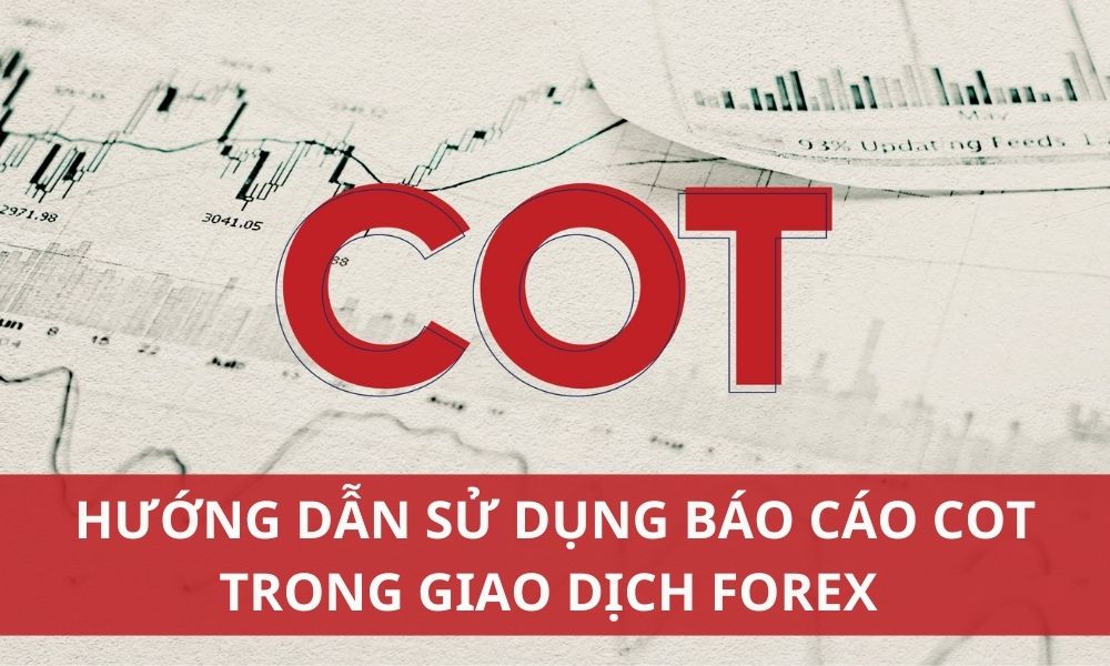 Hướng dẫn sử dụng báo cáo COT trong giao dịch Forex hiệu quả|Ví dụ để xác định đỉnh và đáy với báo cáo COT|Ví dụ về cặp EURUSD sử dụng báo cáo COT