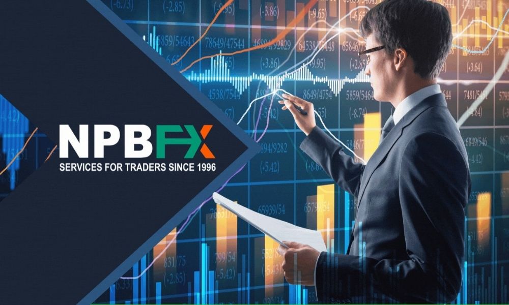 Khuyến nghị cho nhà đầu tư sàn NPBFX
