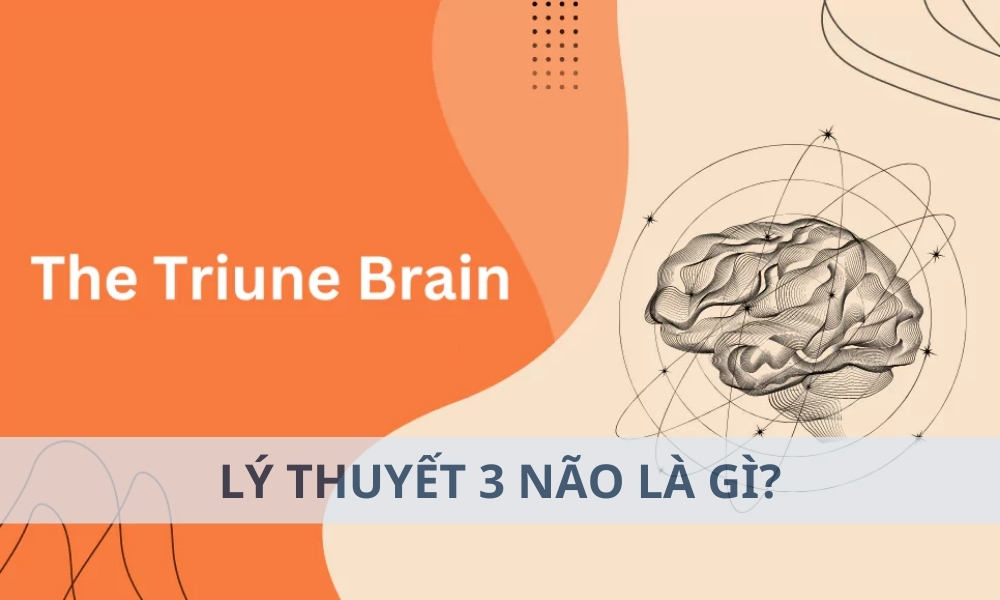 Lý thuyết 3 não là gì? Cách ứng dụng vào Forex hiệu quả