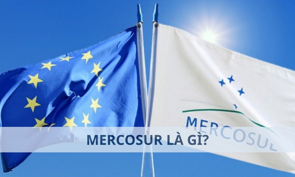 MERCOSUR là gì? ảnh hưởng của mercosur đến thị trường Forex như thế nào?|FSB là gì ảnh hưởng của fsb đến thị trường Forex như thế nào