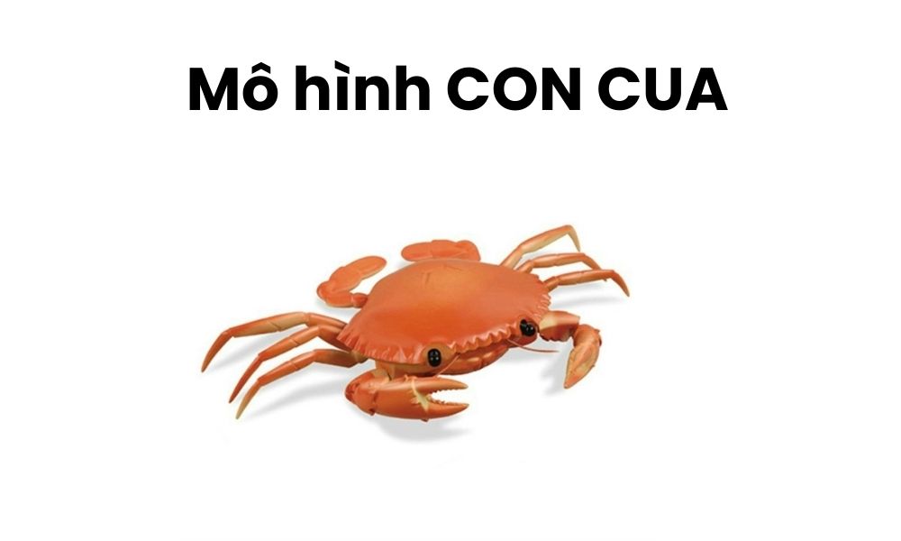 Giải đáp thắc mắc mô hình con cua là gì?|Tìm hiểu về đặc điểm nhận dạng của mô hình con cua||Đánh giá những ưu nhược điểm của mô hình CON CUA|Phân loại mô hình con cua trong giao dịch|Những cách giao dịch hiệu quả với mô hình con cua
