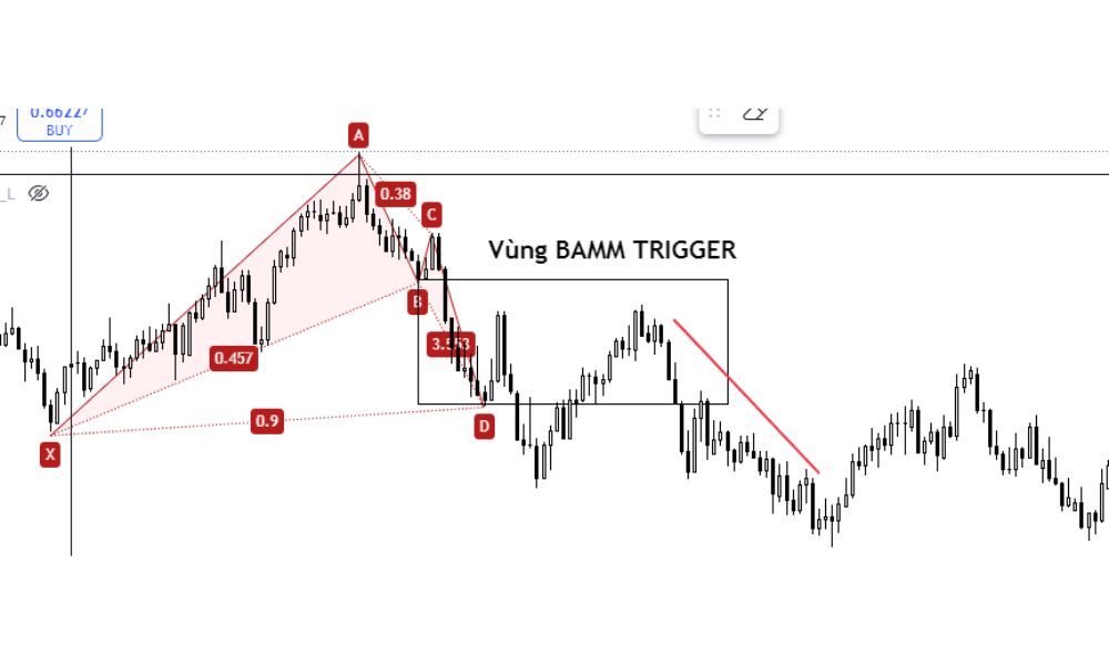 Mô hình Con Dơi và mối liên hệ với lý thuyết BAMM
