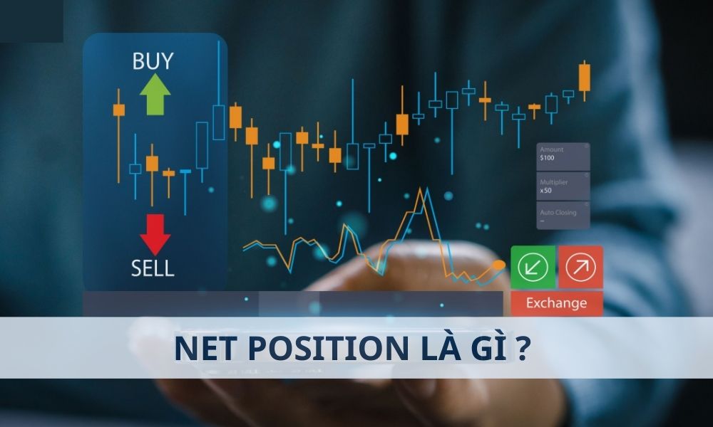 Net Position là gì? Cách tính Net Position trong Forex đơn giản