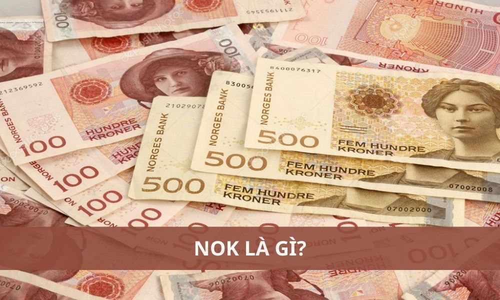 NOK là gì? 1 NOK bằng bao nhiêu tiền Việt Nam?|Có nhiều yếu tố ảnh hưởng đến tỷ giá NOK/VND|NOK có nguồn gốc lịch sử gắn liền với Liên minh Tiền tệ Scandinavia|NOK có nhiều đặc điểm nổi bật|NOK có vai trò nhất định trong nền kinh tế thế giới|NOK là ký hiệu tiền tệ của đồng Krone Na Uy