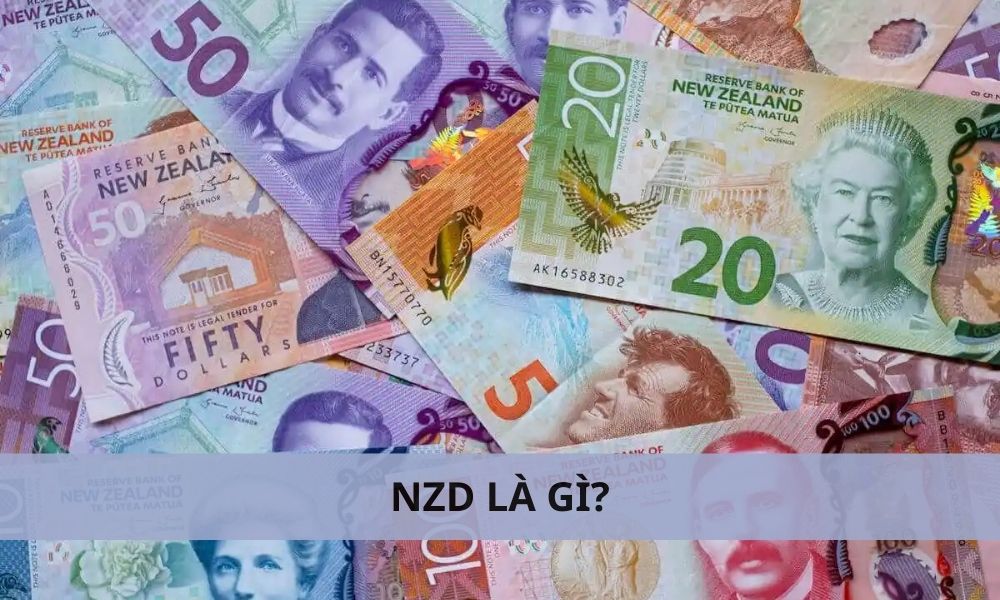 NZD là gì? 1 NZD bằng bao nhiêu tiền Việt Nam?|Có nhiều yếu tố ảnh hưởng đến tỷ giá NZD/VND|NZD có một lịch sử hình thành liên quan chặt chẽ đến quá trình phát triển kinh tế và chính trị của New Zealand|NZD có một số đặc điểm nổi bật|NZD có vai trò đáng chú ý trong nền kinh tế thế giới|NZD hay Đô la New Zealand là đơn vị tiền tệ chính thức của New Zealand|Tỷ giá NZD/VND luôn biến đổi theo thời gian
