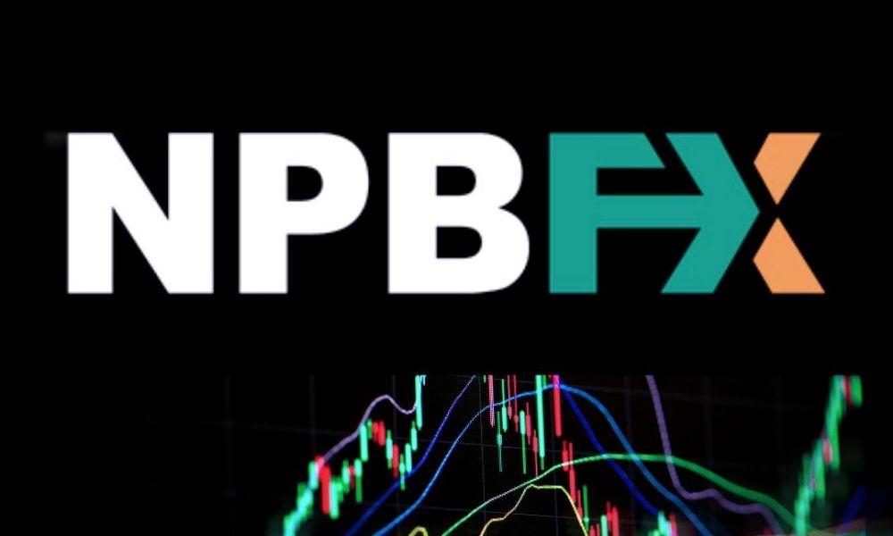 Phân tích rủi ro khi giao dịch với sàn NPBFX