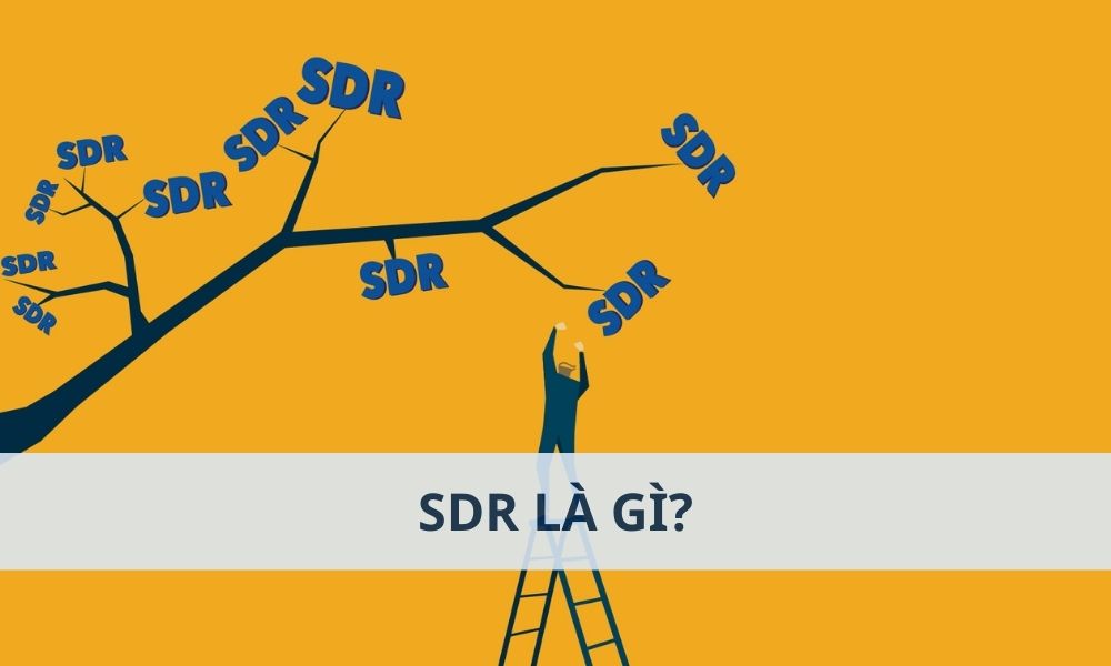 SDR là gì? Giải mã quyền rút vốn đặc biệt của IMF 1 SDR là gì? Giải mã quyền rút vốn đặc biệt của IMF|Giá trị của SDR không cố định mà được xác định dựa trên một rổ các đồng tiền chủ chốt trên thế giới|Mặc dù không phải là tiền tệ giao dịch thông thường