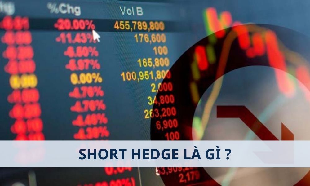Short Hedge là gì? Phân biệt Short Hedge và Long Hedge