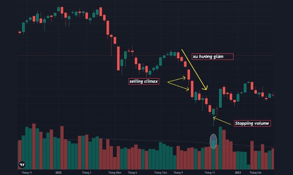 Vì sao Stopping Volume quan trọng|Hành vi giá và ý nghĩa của Stopping Volume|Đặc điểm nhận diện Stopping Volume