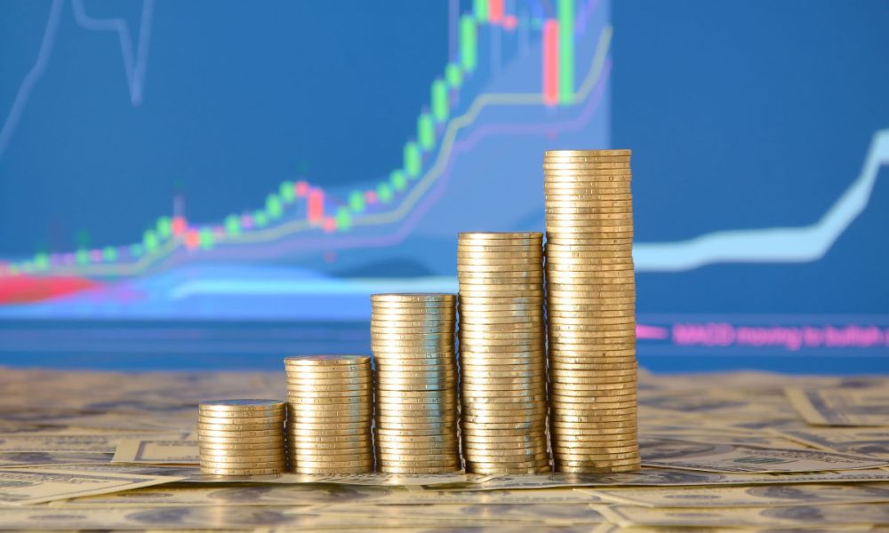 Ứng dụng của đường ngân sách trong kinh tế|Khái niệm đường ngân sách|Ứng dụng của đường ngân sách|Yếu tố ảnh hưởng đến đường ngân sách