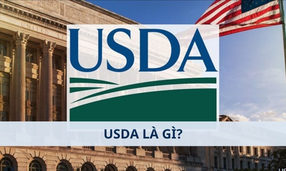 USDA là gì? Tác động đến thị trường Forex như thế nào? 1 USDA là gì? Tác động đến thị trường Forex như thế nào?|Dữ liệu từ các báo cáo của USDA có thể tác động đến thị trường Forex qua nhiều kênh khác nhau|Một số báo cáo của USDA có tác động mạnh mẽ nhất đến thị trường tài chính và Forex|USDA là viết tắt của United States Department of Agriculture